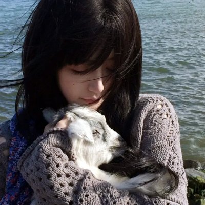 泡芙小姐第四季